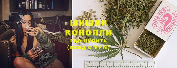 стаф Белоозёрский