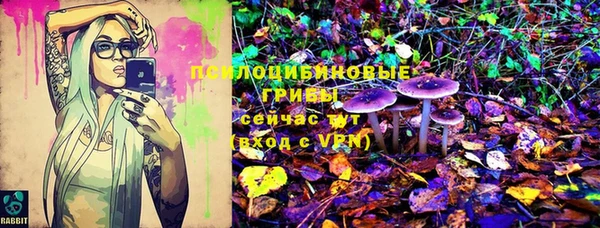 стаф Белоозёрский